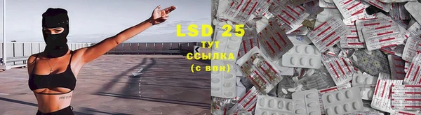 PSILOCYBIN Магас