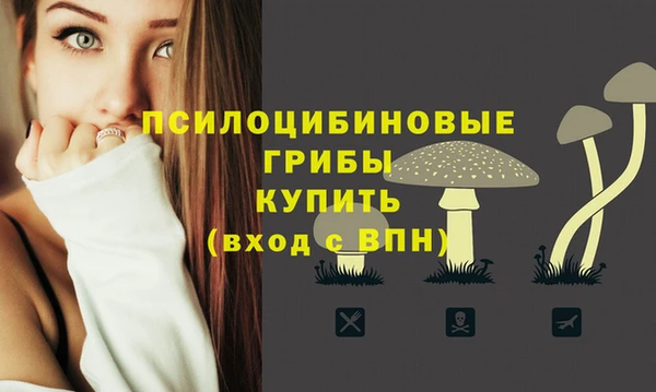 МДПВ Майский