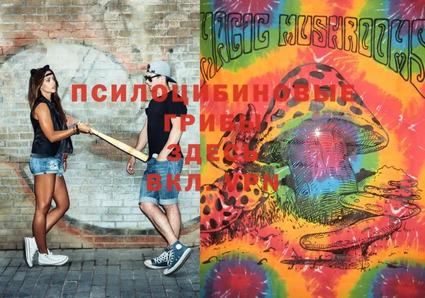 PSILOCYBIN Магас