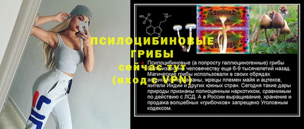 МДПВ Майский