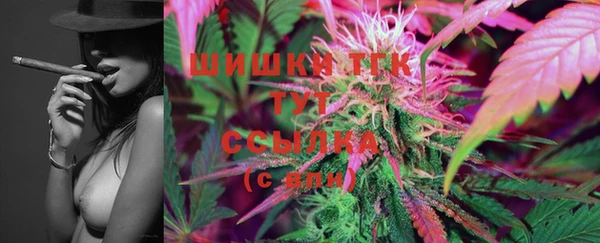 PSILOCYBIN Магас