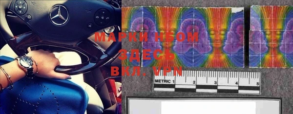 PSILOCYBIN Магас