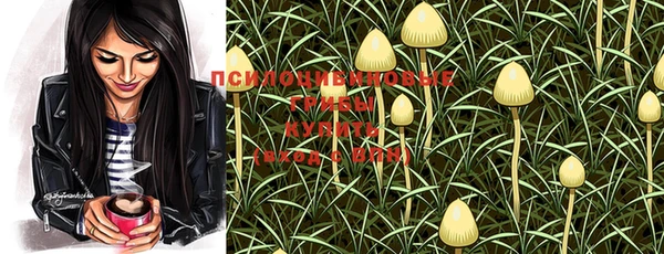PSILOCYBIN Магас