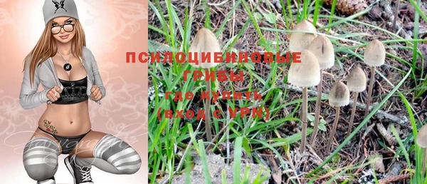 PSILOCYBIN Магас