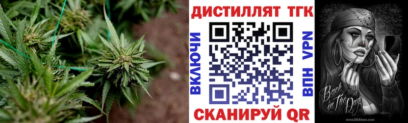 купить наркоту  Суджа  ТГК жижа 