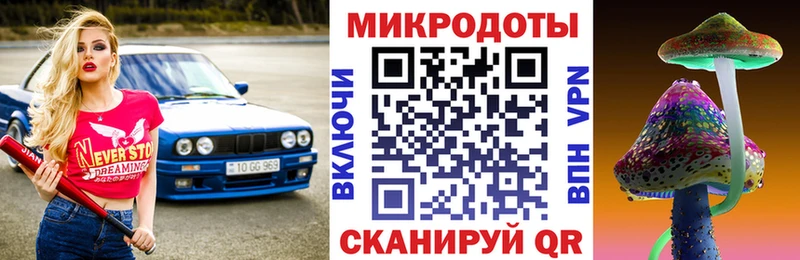 OMG как зайти  Суджа  Псилоцибиновые грибы прущие грибы 
