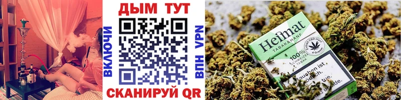Шишки марихуана THC 21%  Суджа 